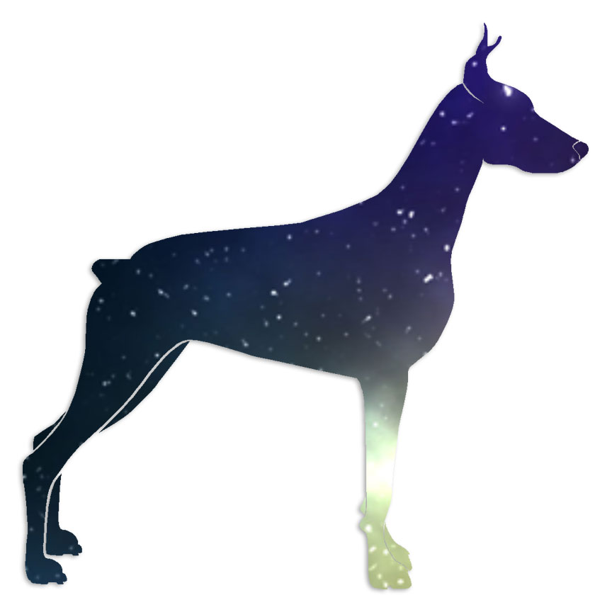 Doberman Dog Zippernose - Decal Sticker - Multiple Patterns